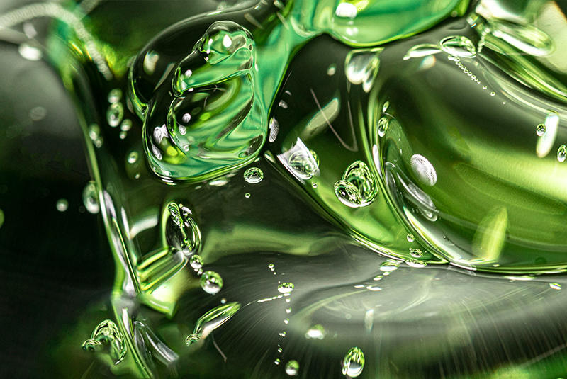 Морски водорасли